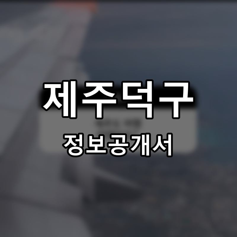 제주덕후 프랜차이즈 정보공개서