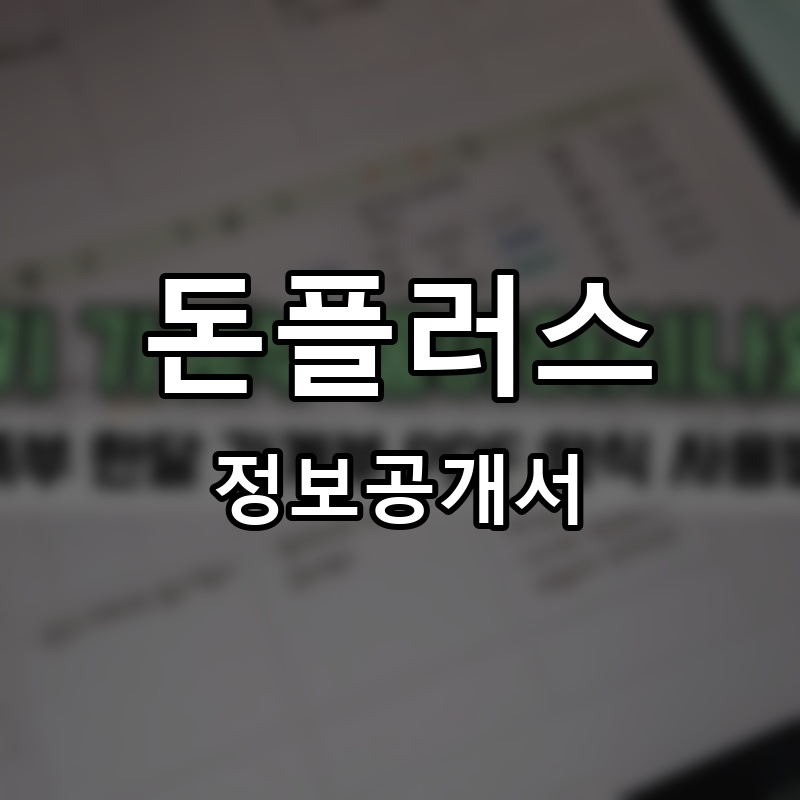돈플러스 프랜차이즈 정보공개서
