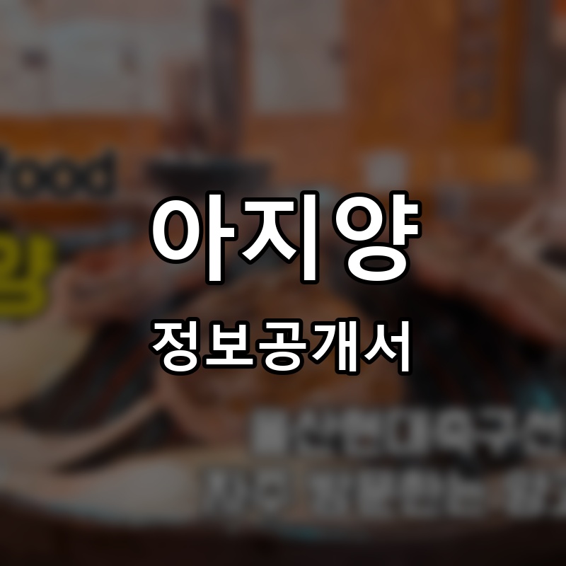 아지양 프랜차이즈 정보공개서