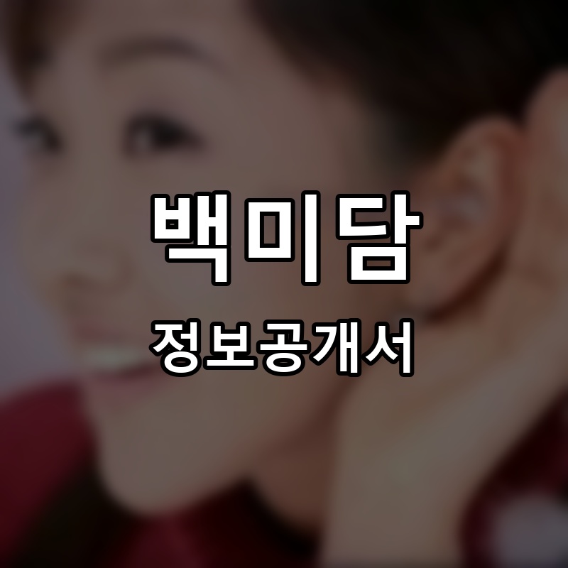 맛있는약속 프랜차이즈 정보공개서