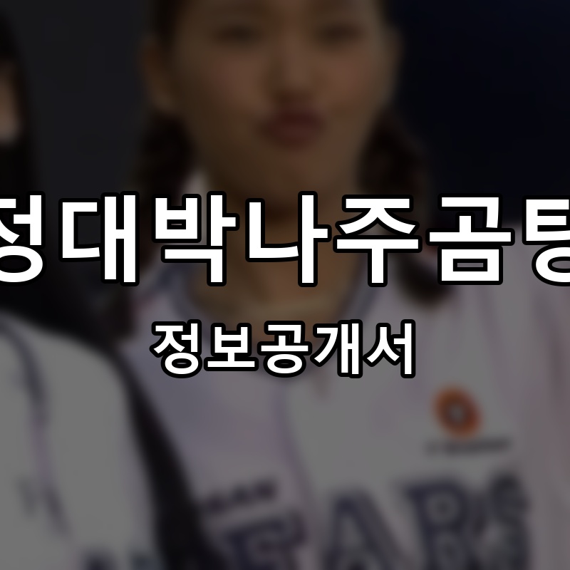 정대박나주곰탕 프랜차이즈 정보공개서