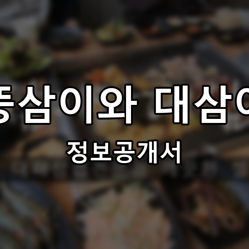 뚱삼이와 대삼이 프랜차이즈 정보공개서