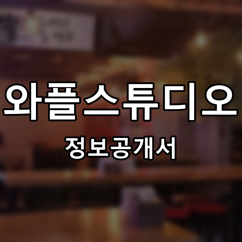 와플스튜디오 프랜차이즈 정보공개서