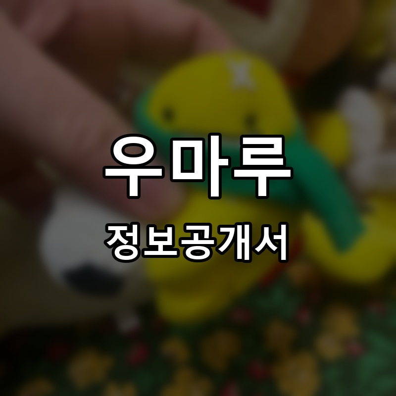 우마루 프랜차이즈 정보공개서