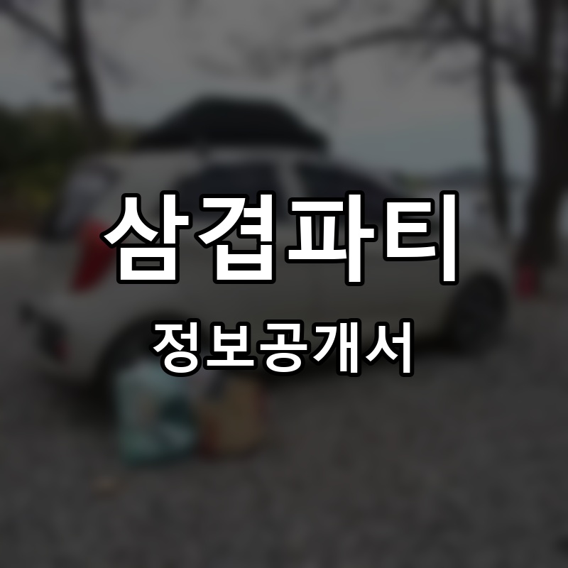 삼겹파티 프랜차이즈 정보공개서