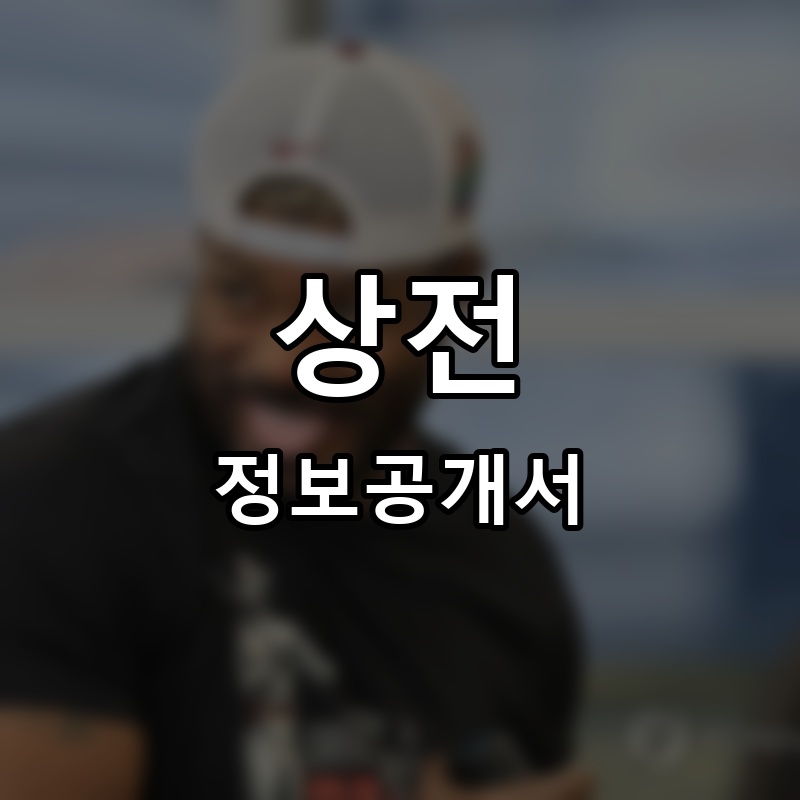 상전 프랜차이즈 정보공개서