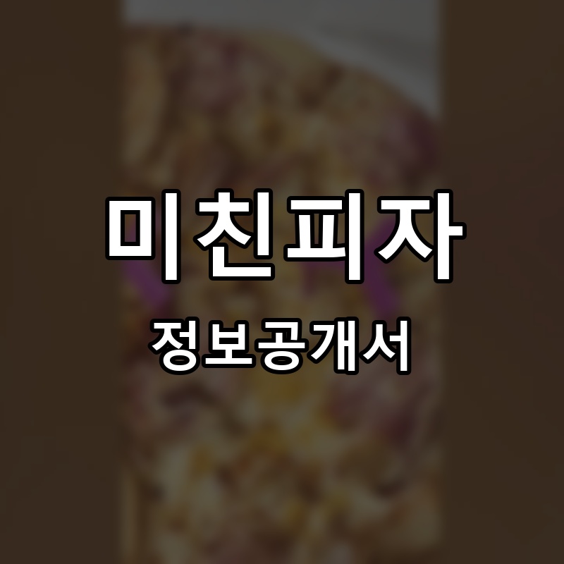 미친피자 프랜차이즈 정보공개서
