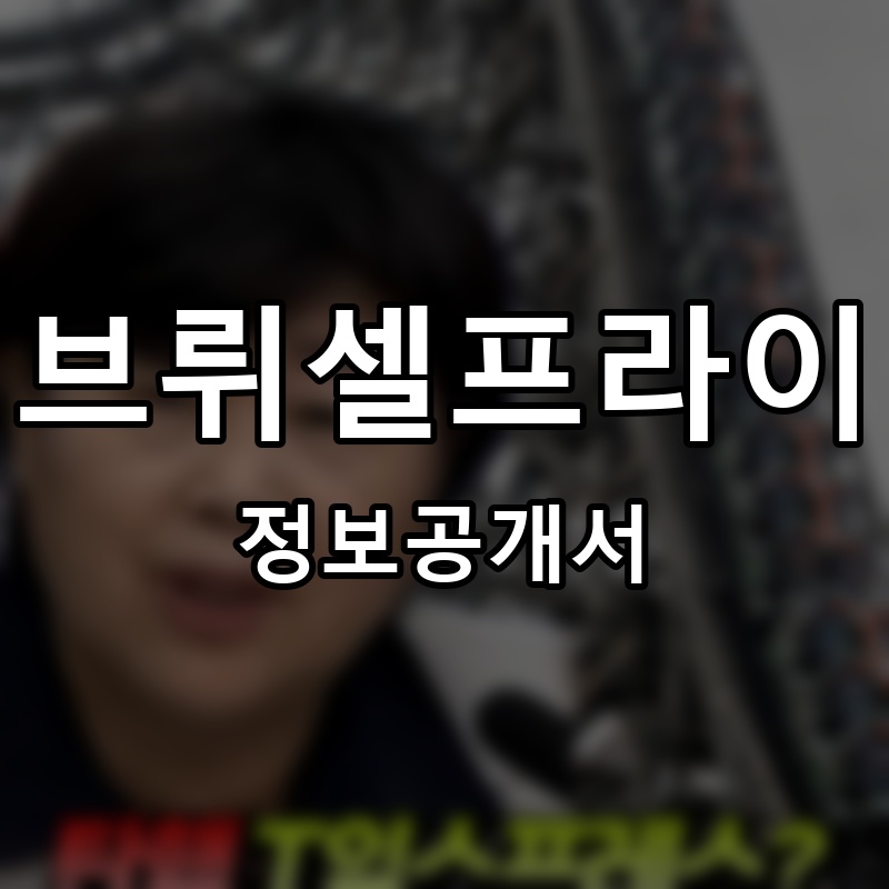 브뤼셀프라이 프랜차이즈 정보공개서