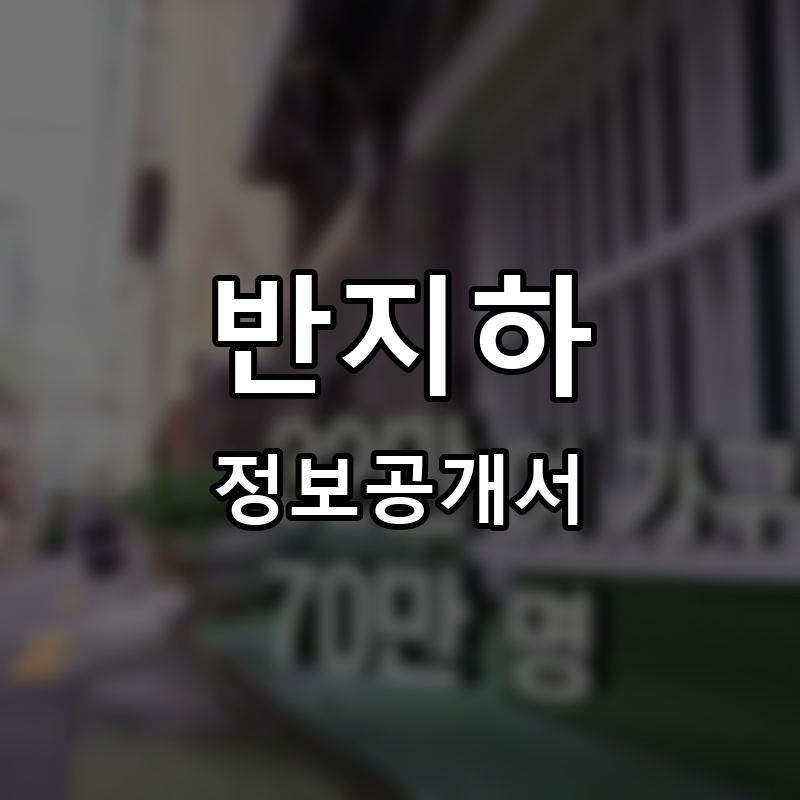 반지하 프랜차이즈 정보공개서