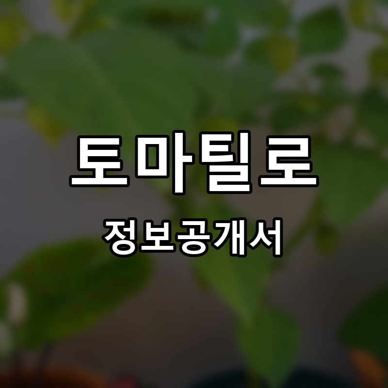토마틸로 프랜차이즈 정보공개서
