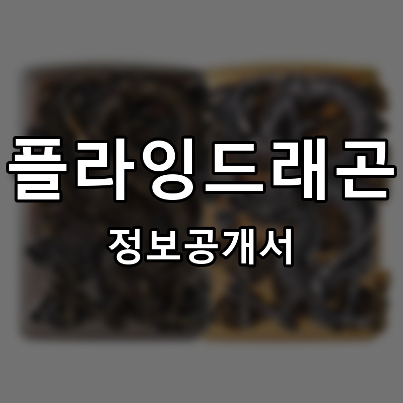 플라잉드래곤 프랜차이즈 정보공개서