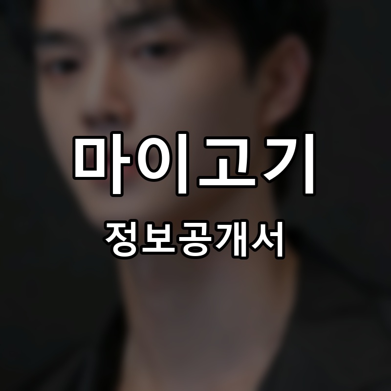 마이고기 프랜차이즈 정보공개서