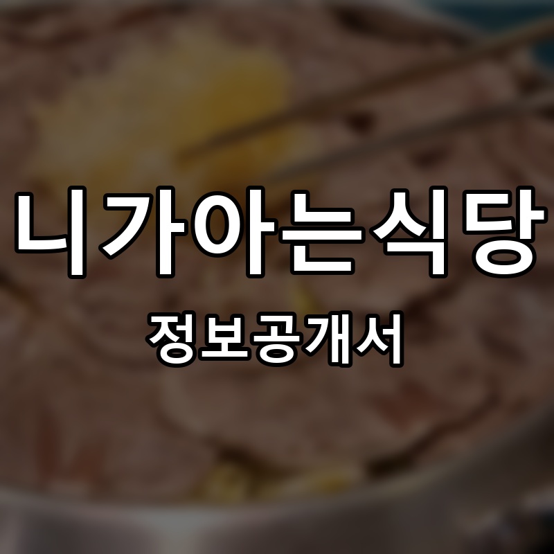 니가아는식당 프랜차이즈 정보공개서