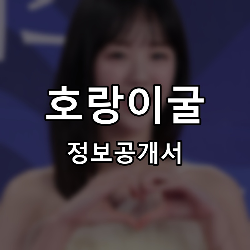 호랑이굴 프랜차이즈 정보공개서