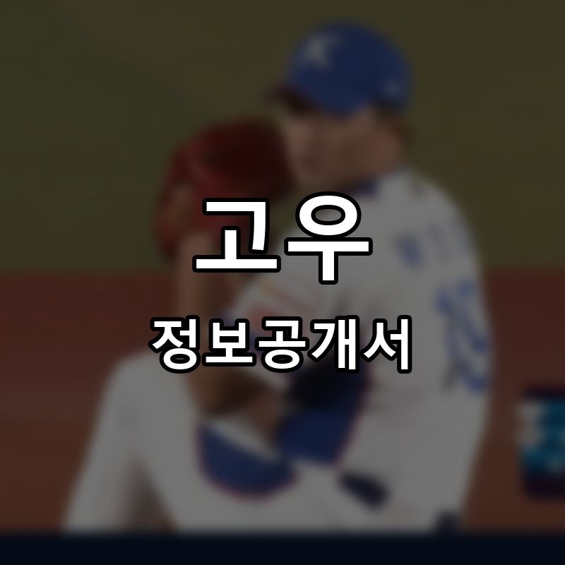 고우 프랜차이즈 정보공개서