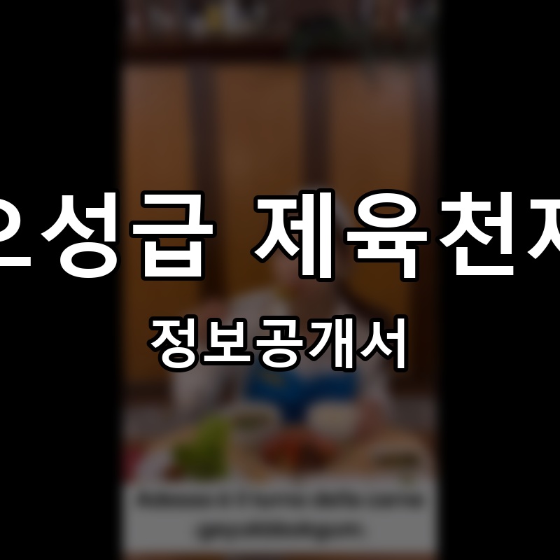 오성급 제육천재 프랜차이즈 정보공개서
