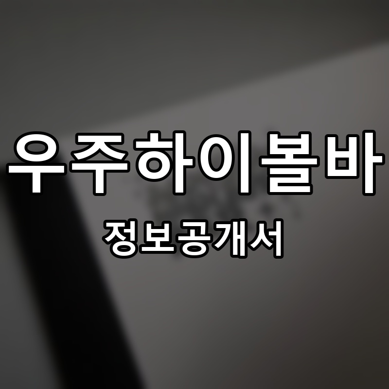 우주하이볼바 프랜차이즈 정보공개서