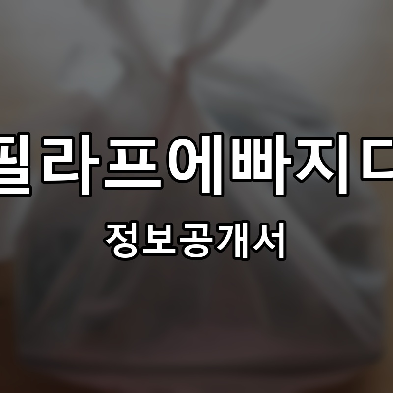 필라프에빠지다 프랜차이즈 정보공개서