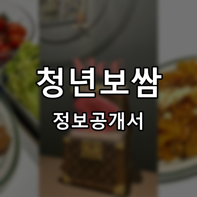 청년보쌈 프랜차이즈 정보공개서