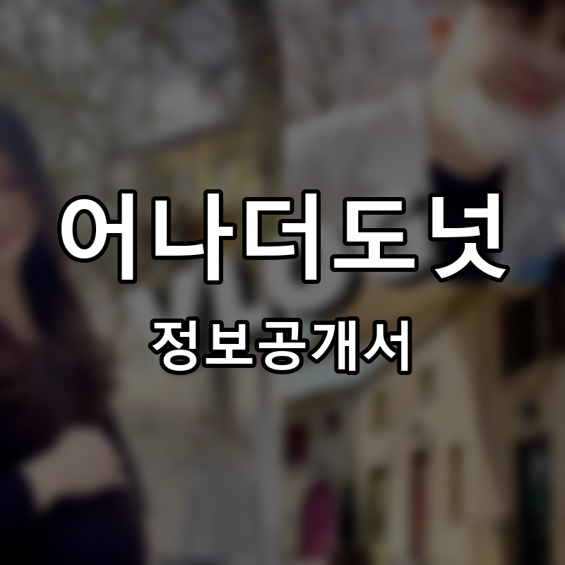 어나더도넛 프랜차이즈 정보공개서