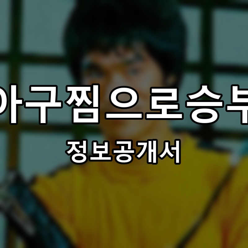 아구찜으로승부 프랜차이즈 정보공개서