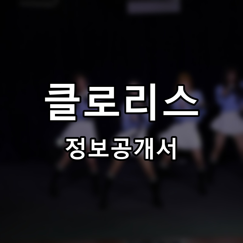 클로리스(CHLORIS) 프랜차이즈 정보공개서