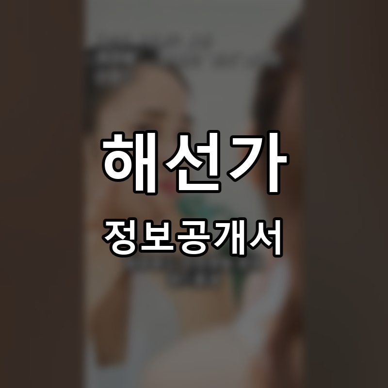 해선가 프랜차이즈 정보공개서