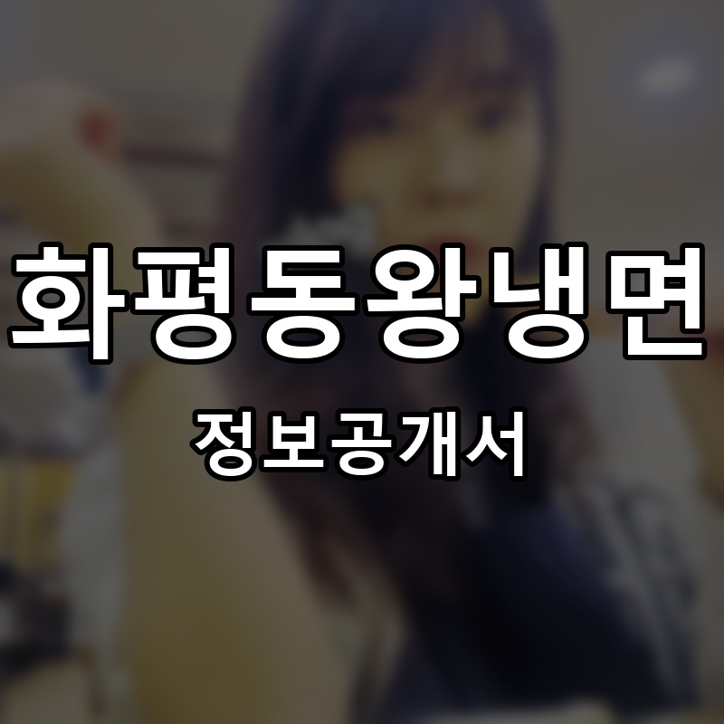 화평동왕냉면 프랜차이즈 정보공개서