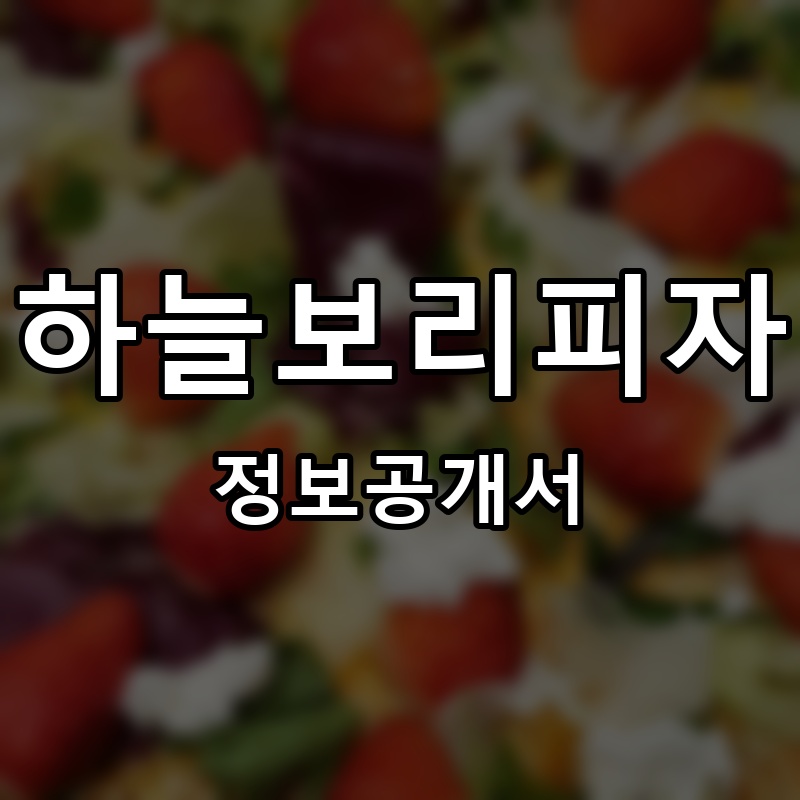 하늘보리피자 프랜차이즈 정보공개서
