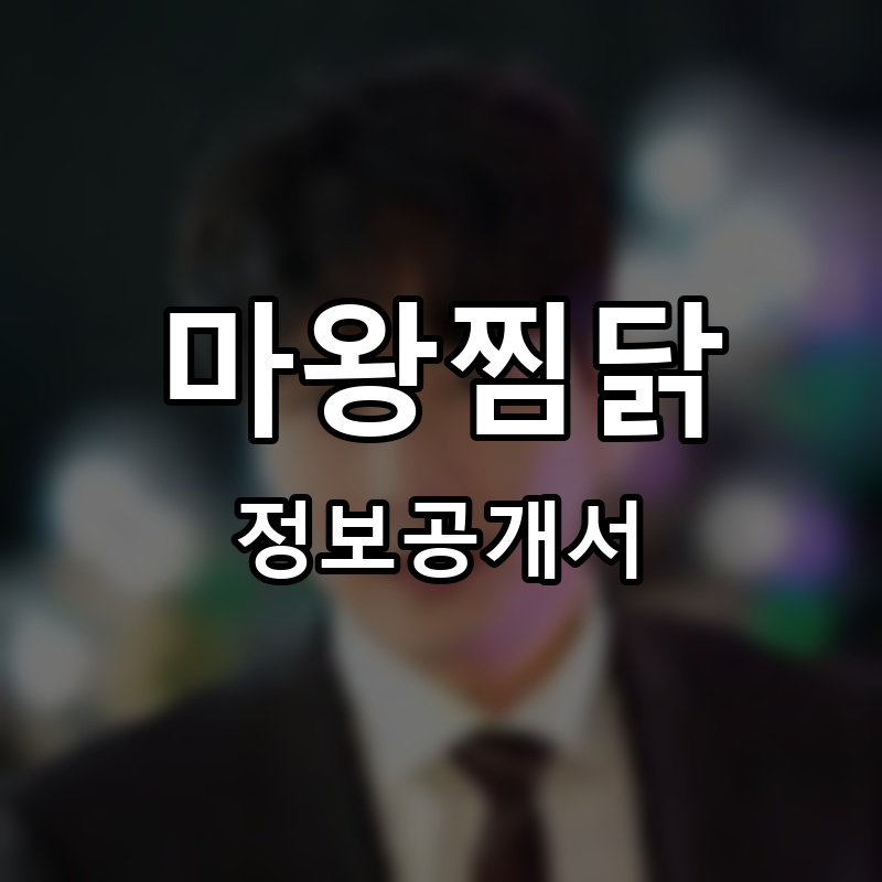 마왕찜닭 프랜차이즈 정보공개서