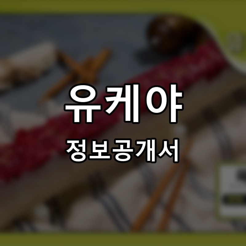 유케야 프랜차이즈 정보공개서