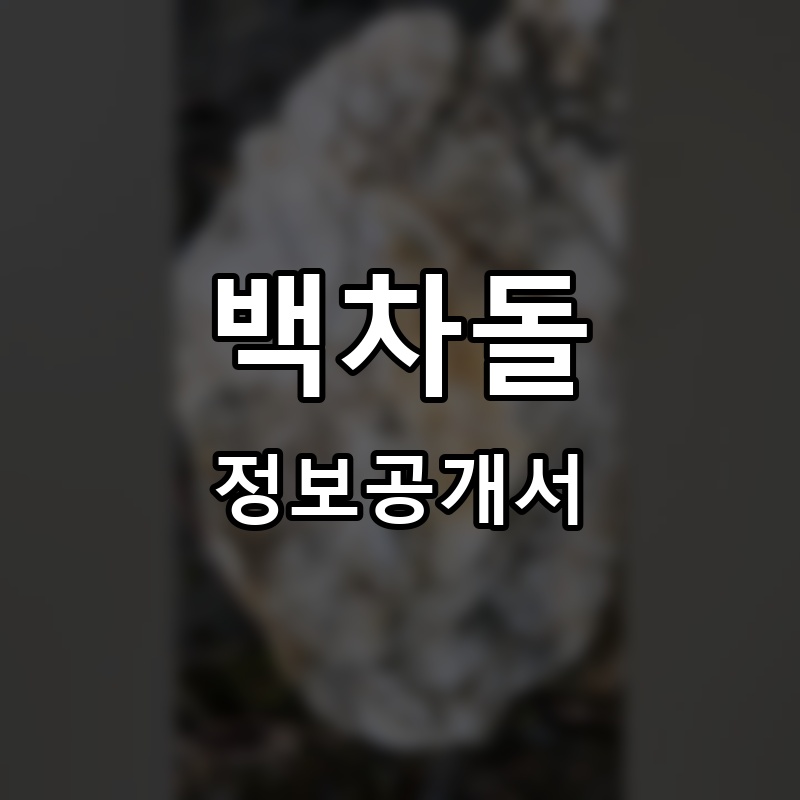 백차돌 프랜차이즈 정보공개서