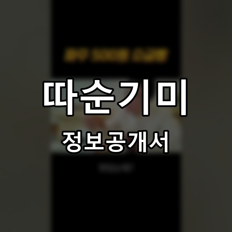 따순기미 프랜차이즈 정보공개서