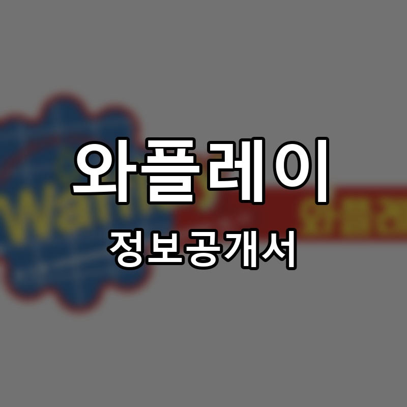 와플레이 프랜차이즈 정보공개서