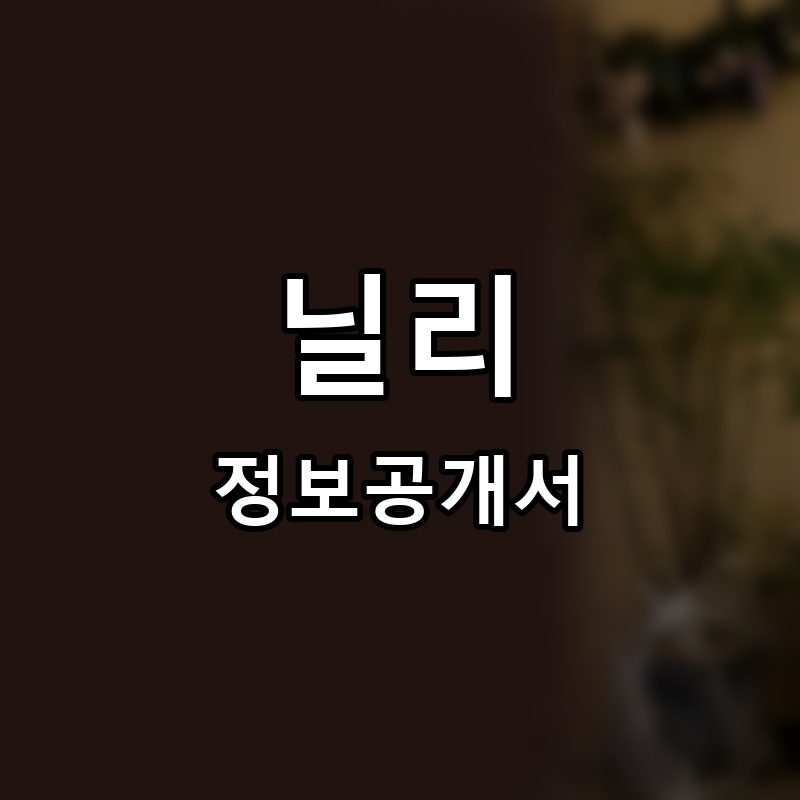닐리스(Nilli's) 프랜차이즈 정보공개서