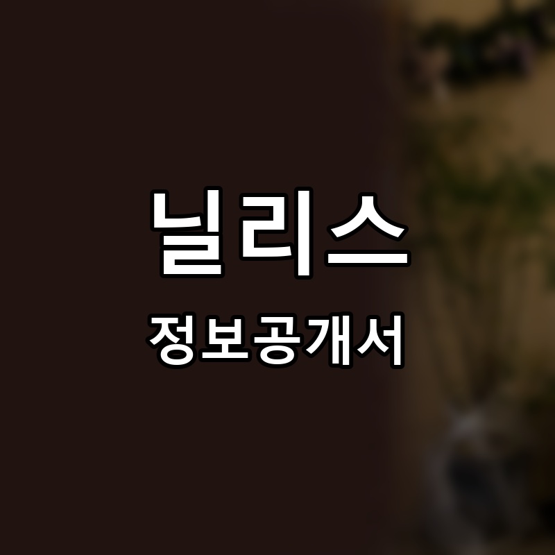 닐리스(Nilli's) 프랜차이즈 정보공개서