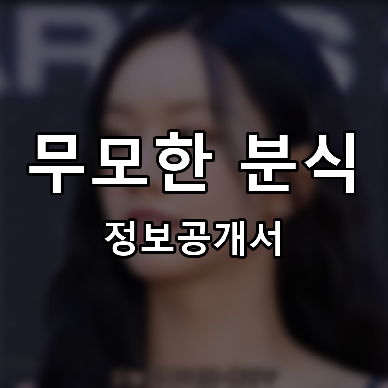 무모한 분식 프랜차이즈 정보공개서