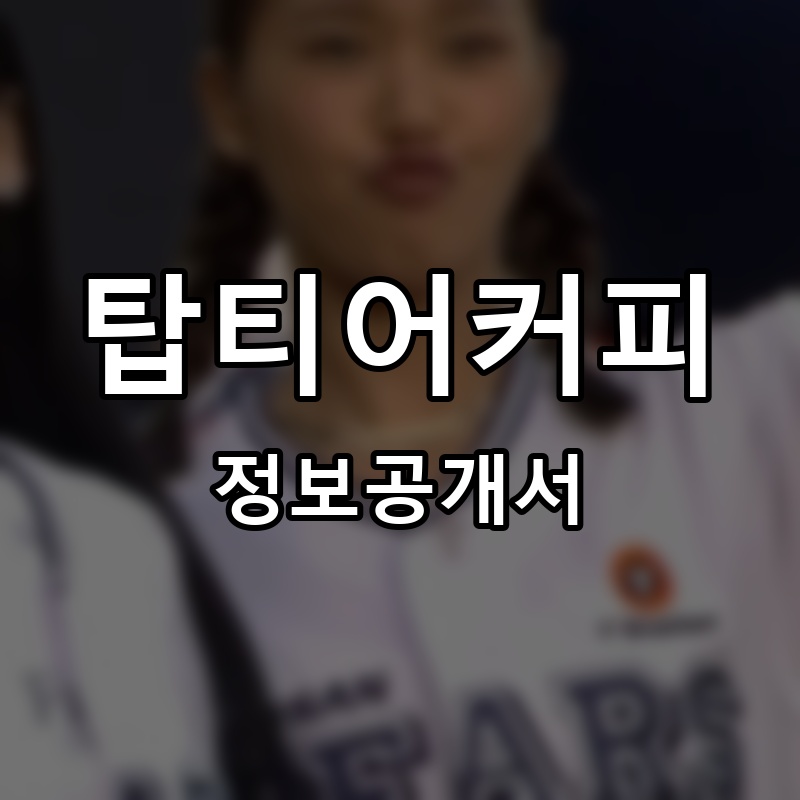 탑티어커피 프랜차이즈 정보공개서