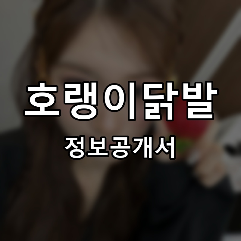 호랭이닭발 프랜차이즈 정보공개서