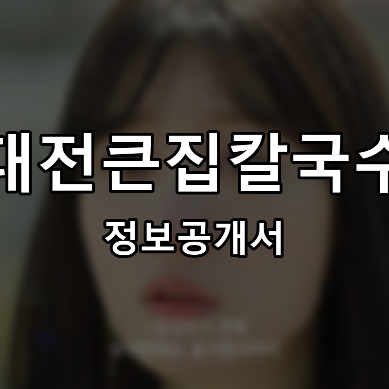 대전큰집칼국수 프랜차이즈 정보공개서