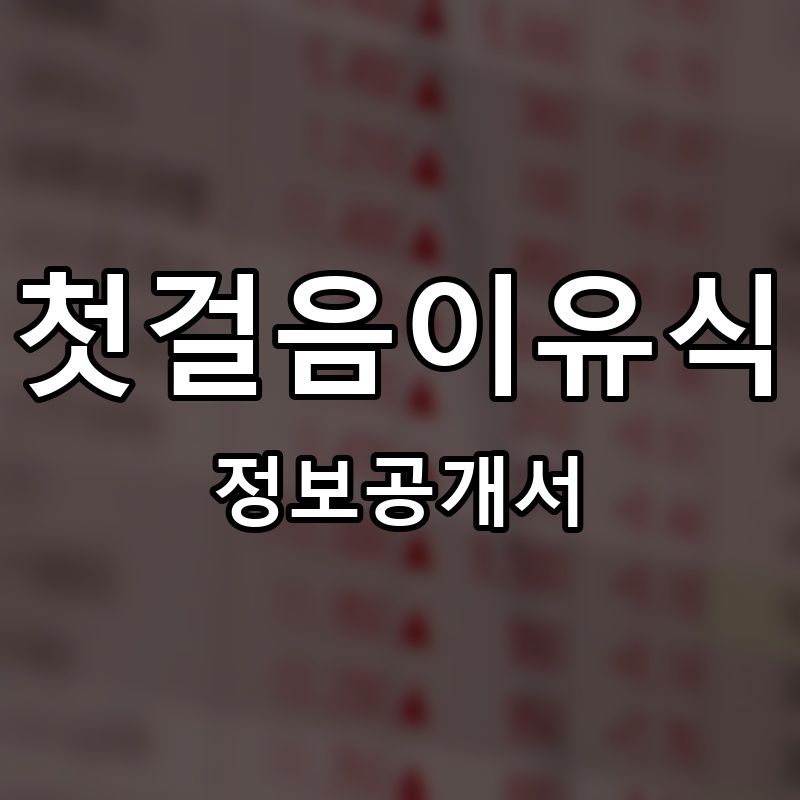 첫걸음이유식 프랜차이즈 정보공개서