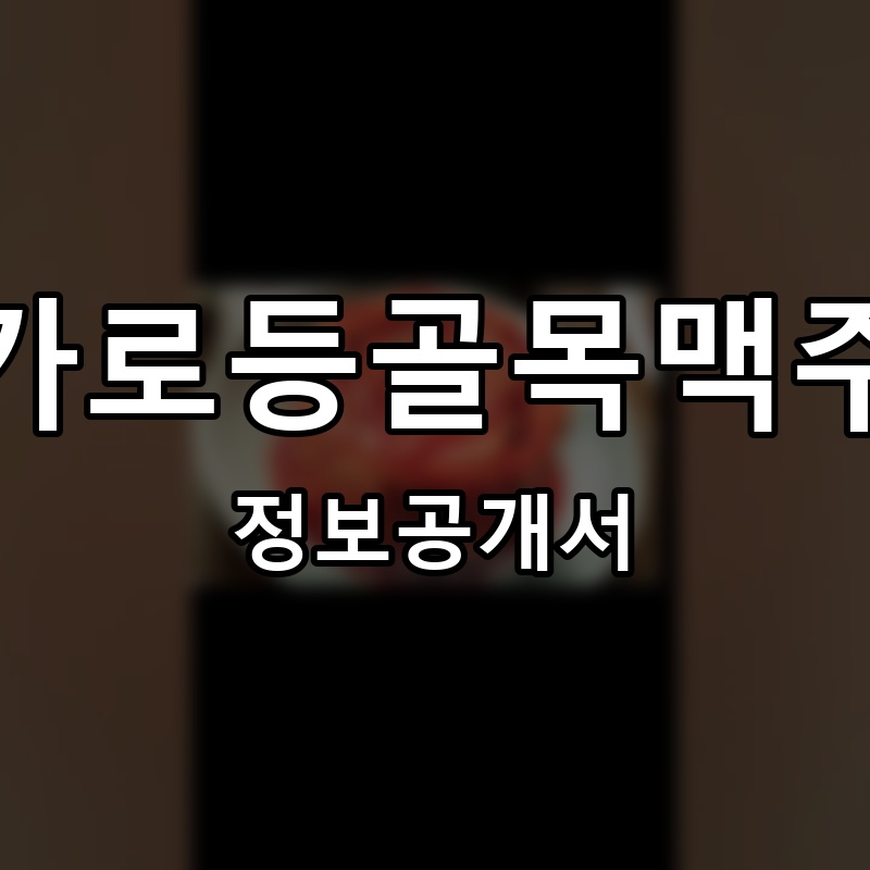 가로등골목맥주 프랜차이즈 정보공개서