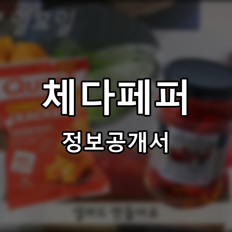 체다페퍼 프랜차이즈 정보공개서
