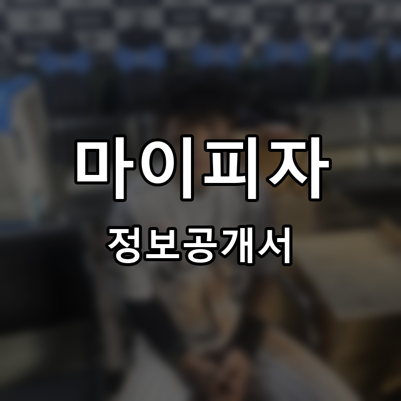 마이피자 (MY PIZZA) 프랜차이즈 정보공개서