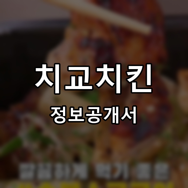 치교치킨 프랜차이즈 정보공개서