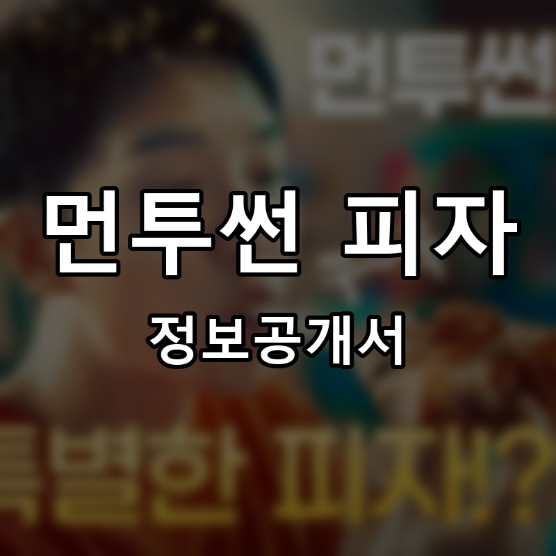 먼투썬 피자 프랜차이즈 정보공개서
