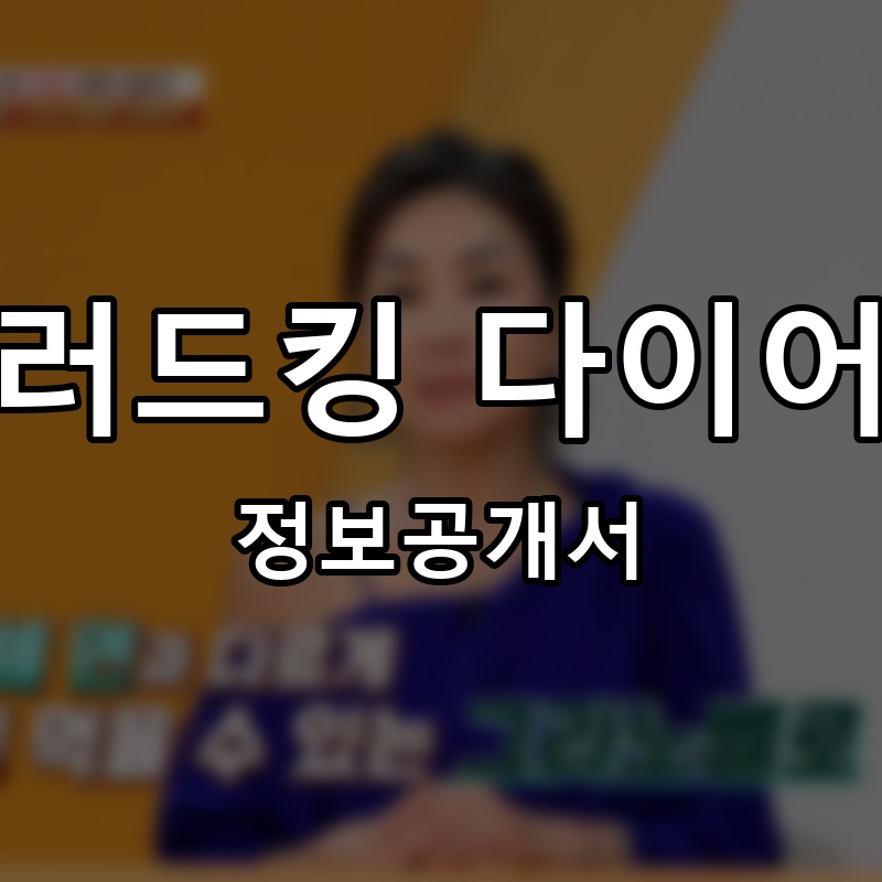 샐러드킹 다이어트 프랜차이즈 정보공개서