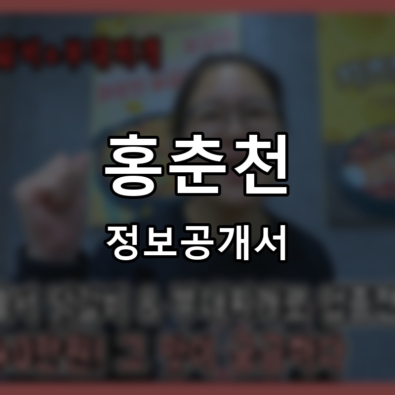 홍춘천 프랜차이즈 정보공개서