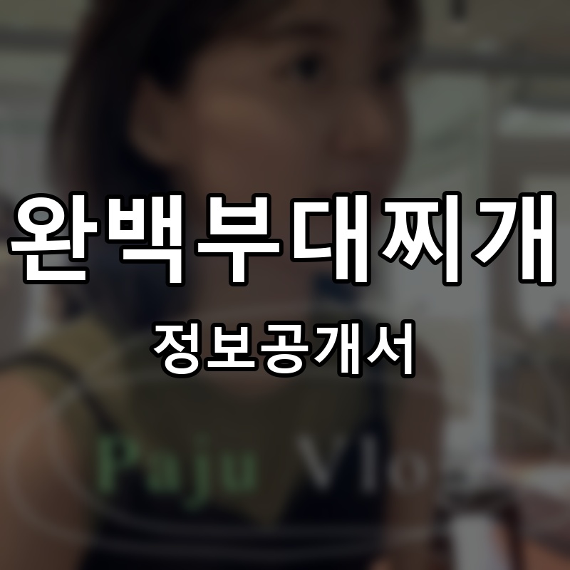 완백부대찌개 프랜차이즈 정보공개서