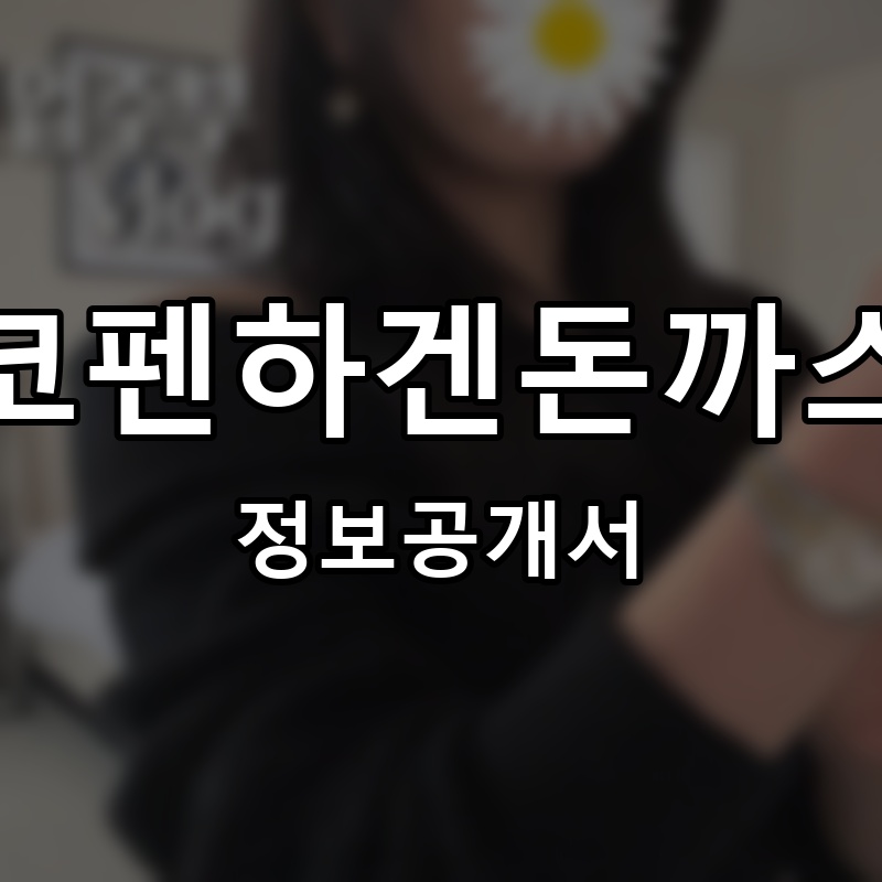코펜하겐돈까스 프랜차이즈 정보공개서